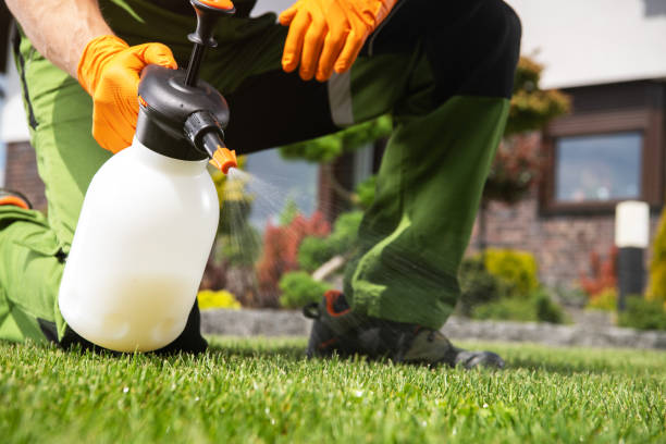 Best Best Pest Control Companies  in St Augustine Beach, FL