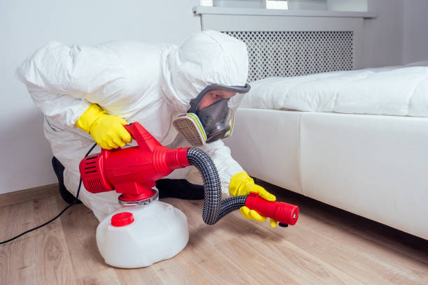  St Augustine Beach, FL Pest Control Pros