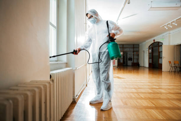 Best Pest Inspection Near Me  in St Augustine Beach, FL